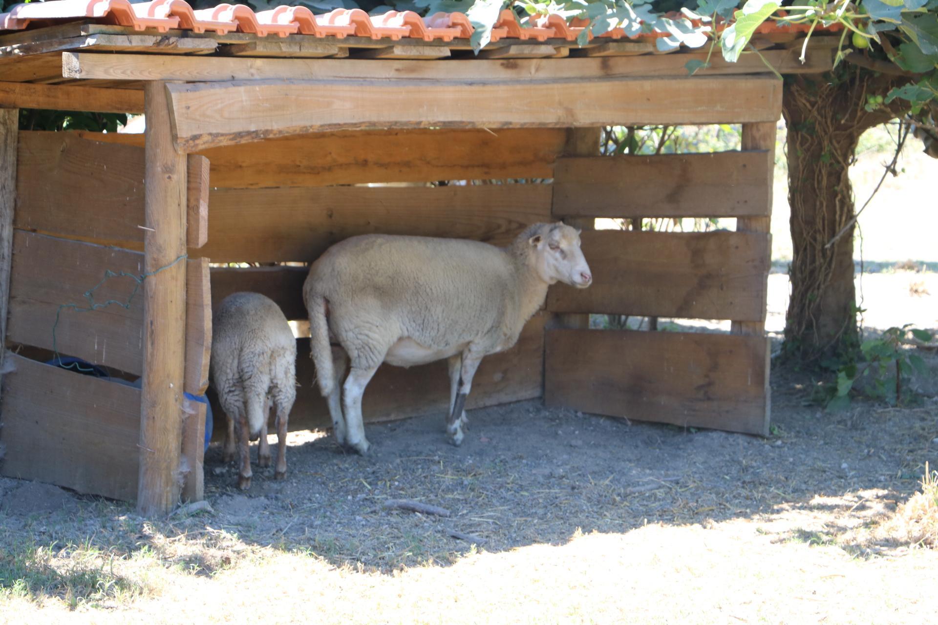 Duas Areal Ferienpark Guimarães